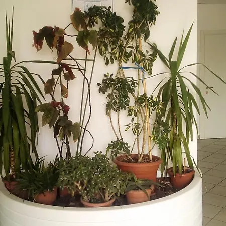 Apartamento With 2 Bedrooms In San Tommaso Tre Archi With Wonderful Sea View And Furnished Terrace 200 M From The Beach